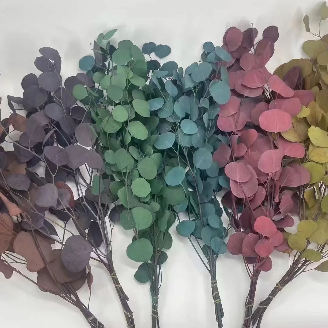 dried leaves and flowers real natural eucalyptus preserved flowers and plants dried flowers plants eucalyptus leaves for decor