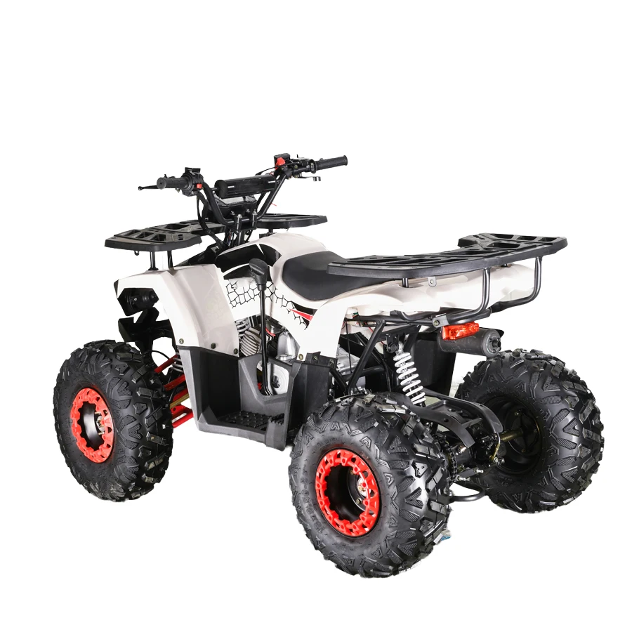 atv quad bike 4 wheeler motorcycle gasoline 110cc 125cc atv quad bike for adults