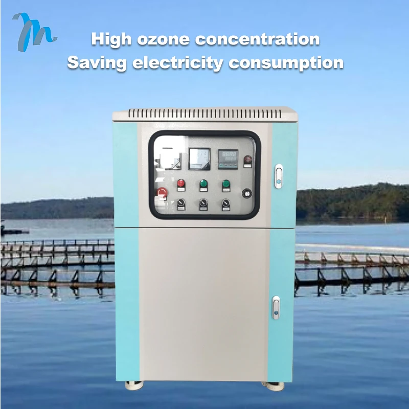 Good effect oxygen concentrator ozone generator for swim pool water treatment price