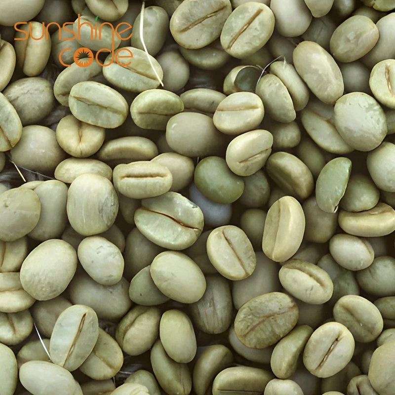 Sunshine Code Vietnam Robusta Screen 18 Coffee Beans Green Price Per Kg Grade 1/2 Specialty Coffee