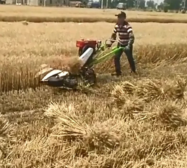 Walking Behind Wheat Harvester for Kinds Crops Reaper binder with Gasoline Engine