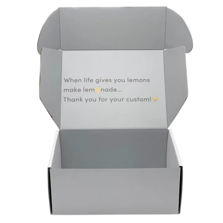 Dongguan small new arrival christmas theme favor gift shipping white literature mailer boxes for food