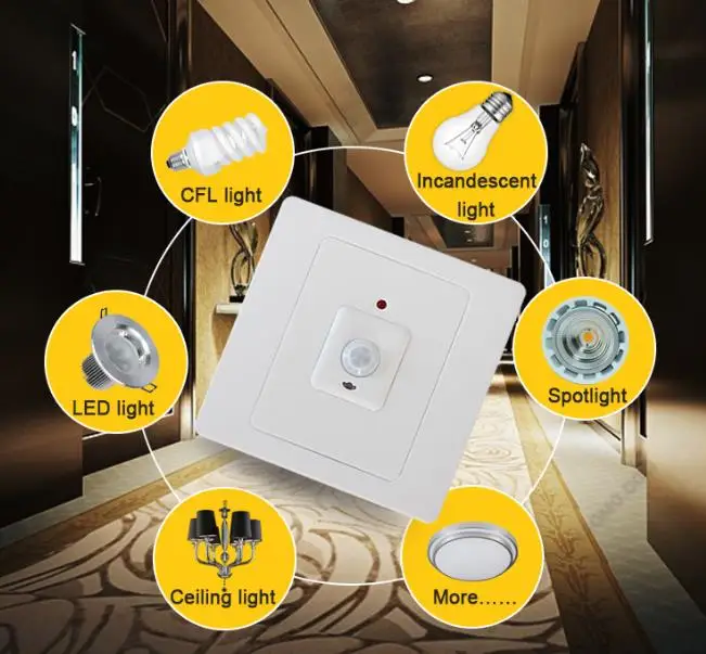 Smart EU Standard 220V PIR Motion Sensor Delay off Light Switch