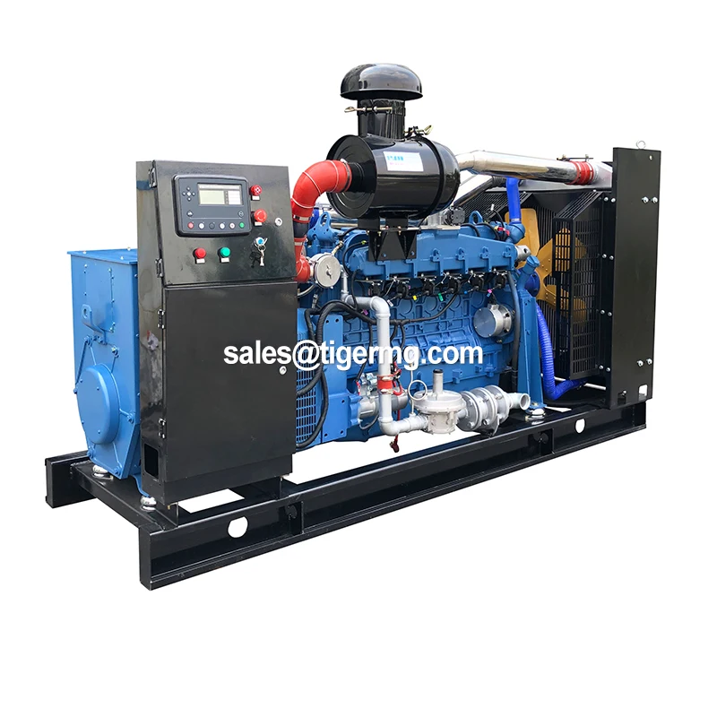 CE & ISO certified 22kw natural gas home generator powered with Weifang engine