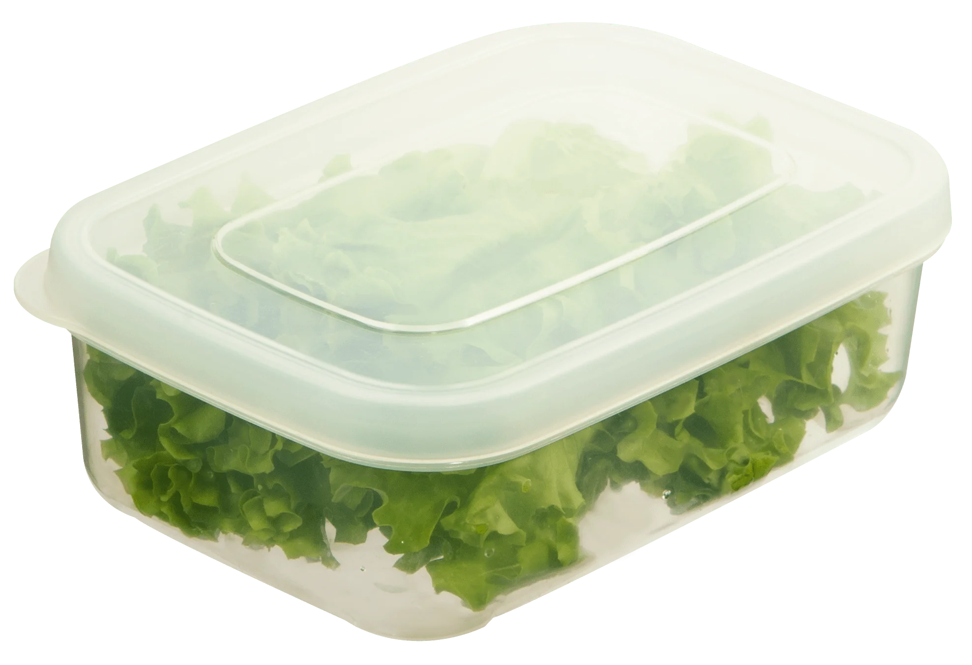 Hokkaido Rectangle Food Storage Container Box Modern Plastic Storage Kitchen Free 500ml 750ml 1000ml 2500ml Polypropylene