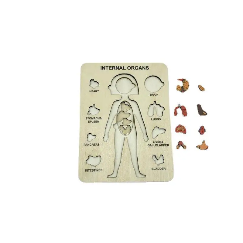 Baby Montessorie Wooden Puzzles Toys Organ Cognition Learning Education Multi-layer Wooden Puzzle Board Children Educational Toy