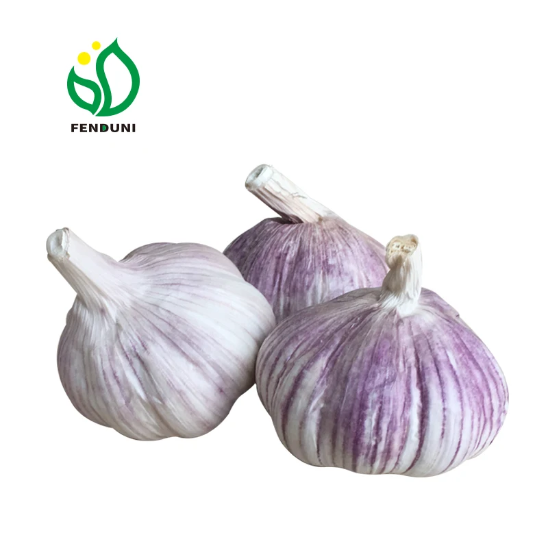 Fresh garlic galiki vou garlic 400g*25 bags 10kg mesh bag China garlic supplier