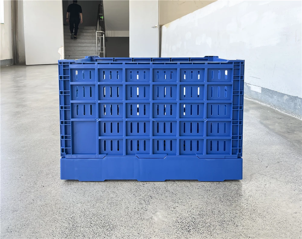 Foldable reusable 600x400x400 mm mesh type crate plastic storage crate for fruit and vegetable transport