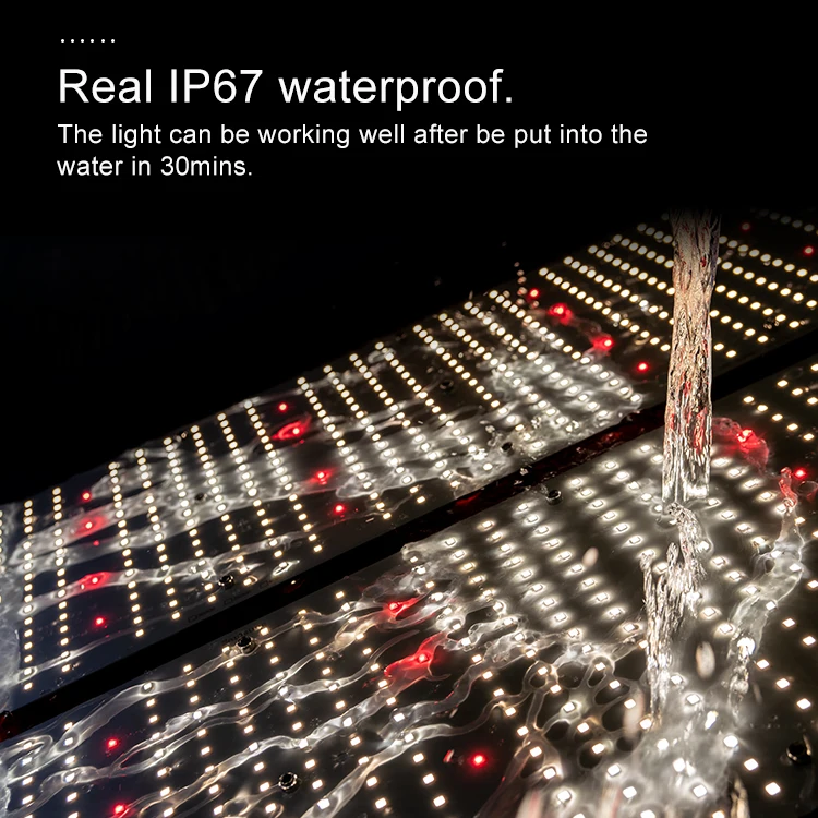 Kingbrite led 480W best full spectrum led grow light using Samsung LM301H+CREE XP-G3 660nm and Meanwell driver