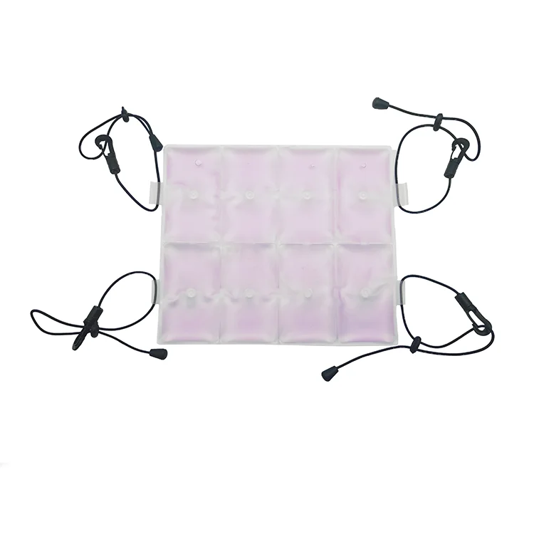 Summer Wholesale Hot Ice Pad Cold Back Gel Ice Pack Shoulder Bag Pcm Cooling Ice Pad