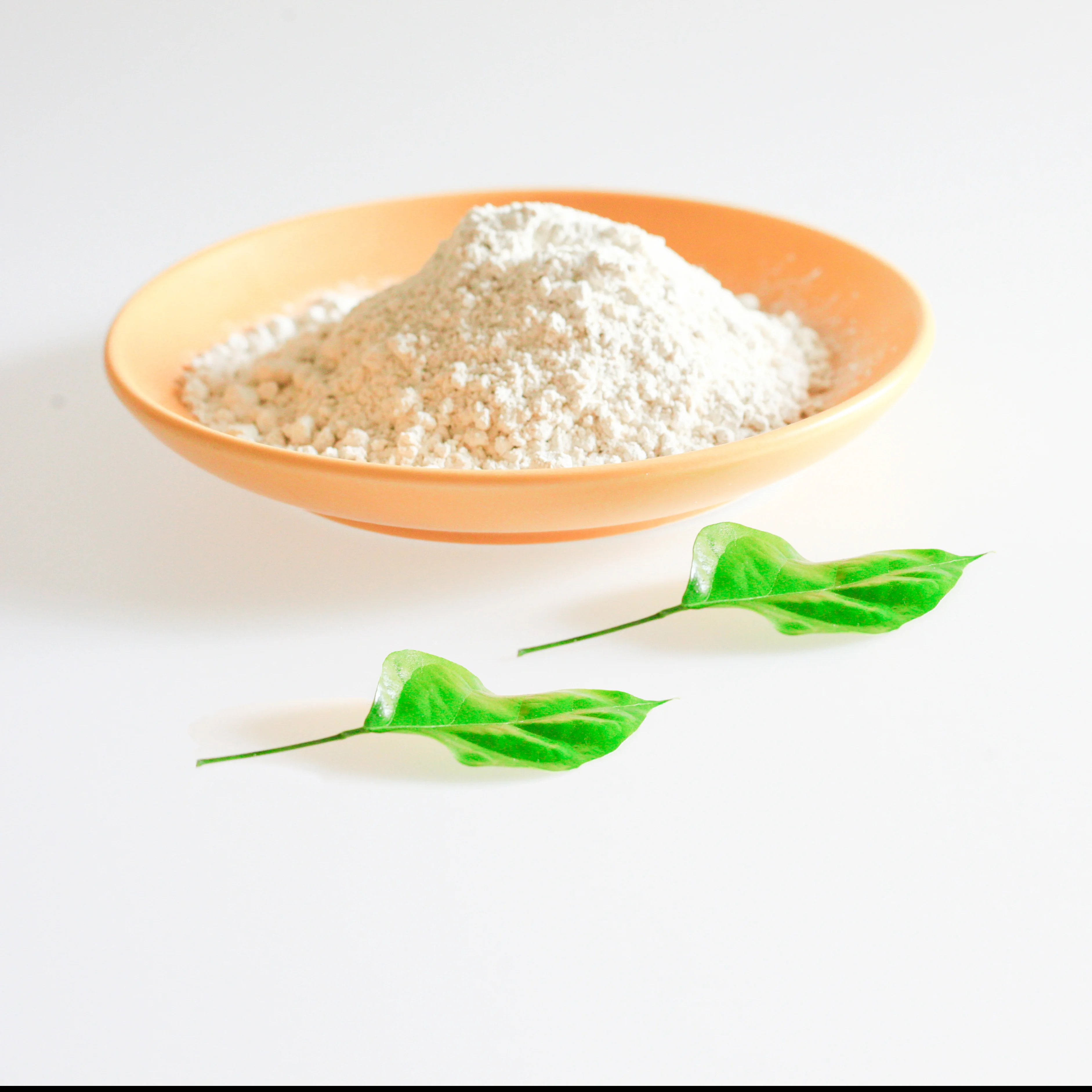 Cheap Feminine Care Gastrointestinal Probiotic Probiotics Clostridium Butyricum Powder