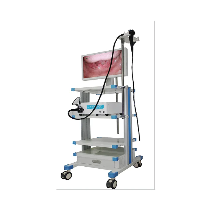 A-Faith 2022 GBS-9  Medical Equipment Flexible Fiber Rhinolaryngoscope Nasopharyngolaryngoscope Price with USB Endoscope Camera