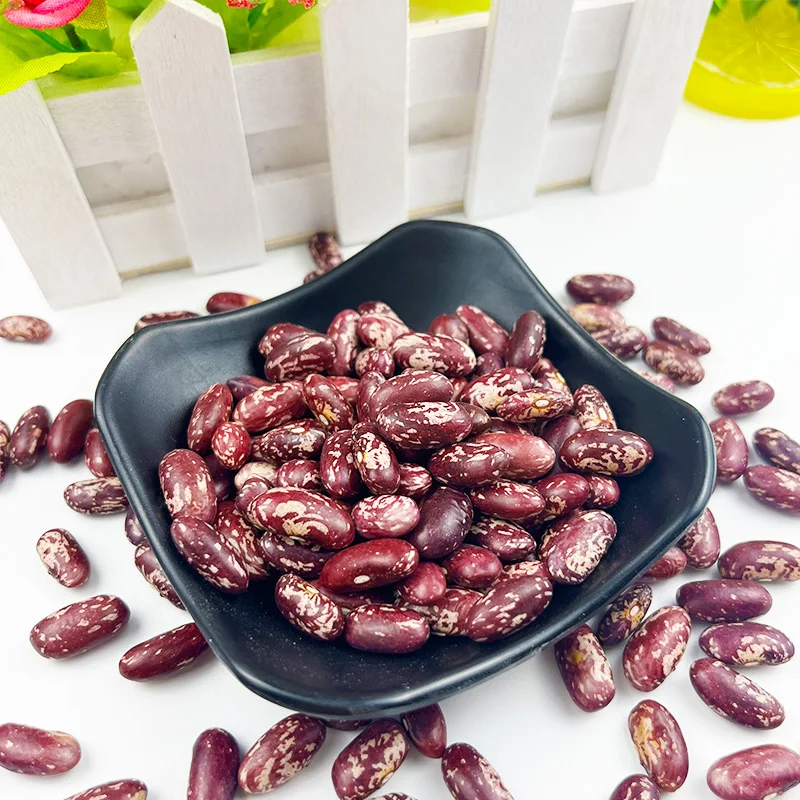 Wholesale high quality red speckled kidney bean