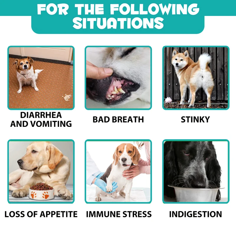 OEM Pet Probiotic Digestive Care Animal Medicine Skin Health Promoting Probiotic chews for Dogs