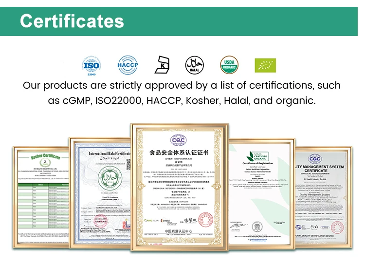 High Quality CaoDouKou Katsumade Galangal Seed Extract Alpinia Katsumadai Seed Extract 98% Pinocembrin