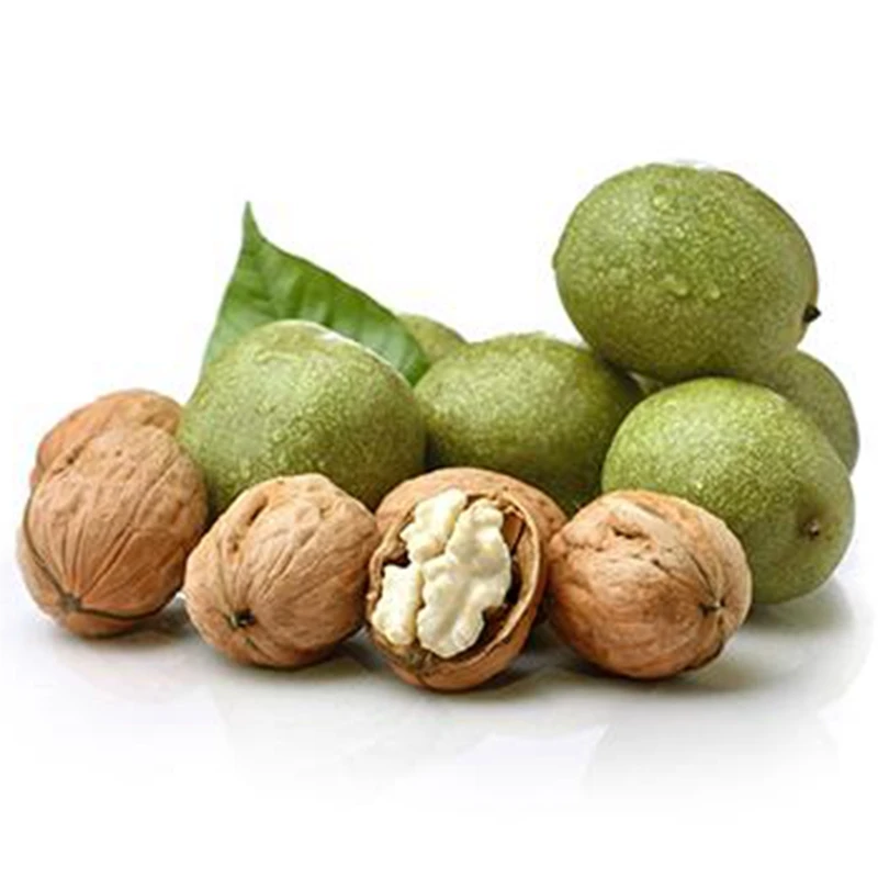 Newest Crop Best Color  Thin Shell  Walnuts Xinar  type Walnuts  With Shell and Without Shell Walnuts Kernels