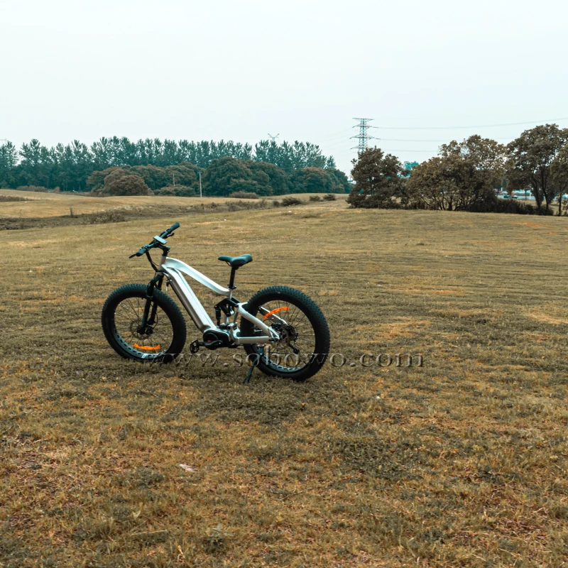 26 Inch Fat Tyre Mid drive System Bafang 8fun Motor Electric Bike Bicycles
