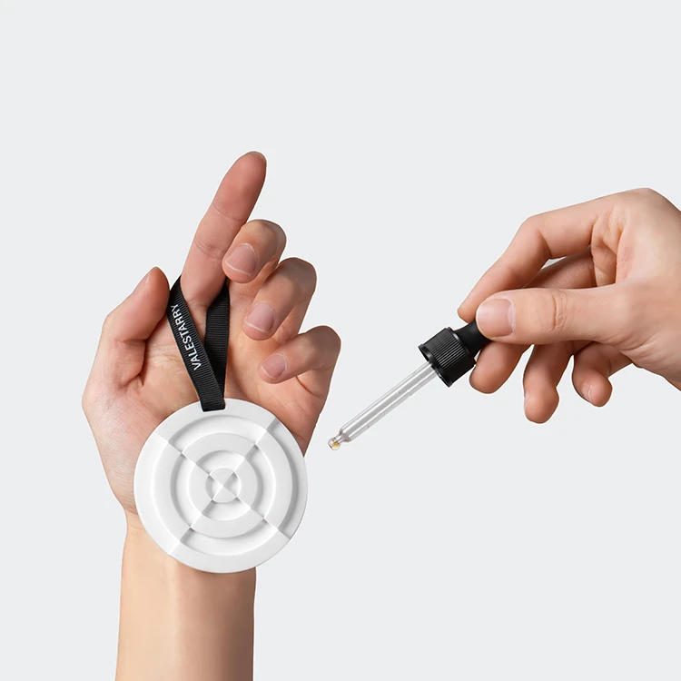 New arrival Wholesale  wardrobe fragrance sachets Car Air Freshener Aroma Ceramic Scented Cay Scented Plaster