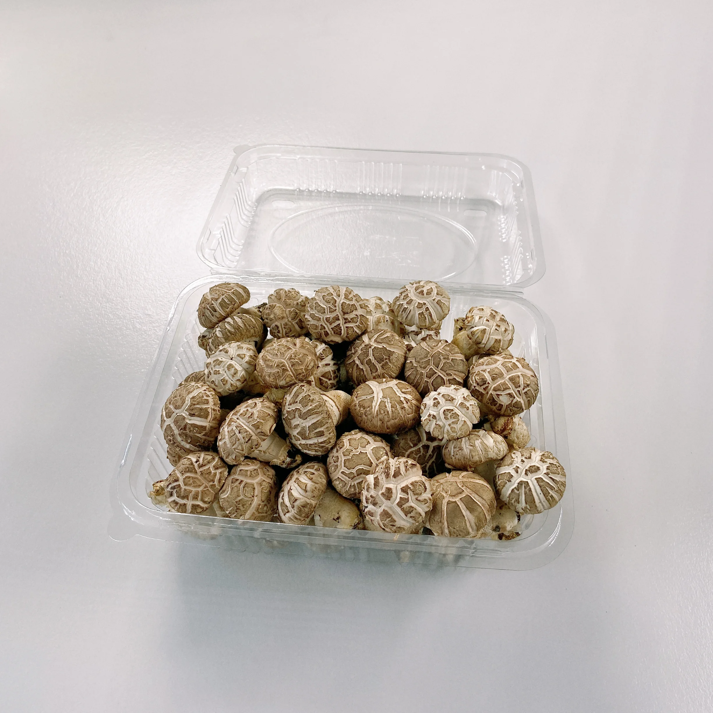 The Fine Quality Dry Chinese Solidus Patterned Fresh Hua Mushroom Shiitake