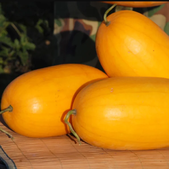 
2021 Hybridization fresh King Beauty gold skin Watermelon seed 