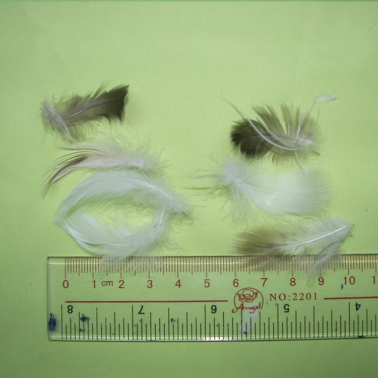 best price 2-4cm grey goose feather Pillow Filling Material Goose Down Feathers Wholesale