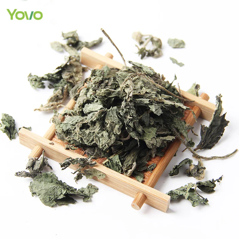 Bulk Wholesale Chinese Herbal Tea 100% Natural Dried Nettle Leaf Cut Green Nettle Leaves Tea UrticafissaE. Pritz.