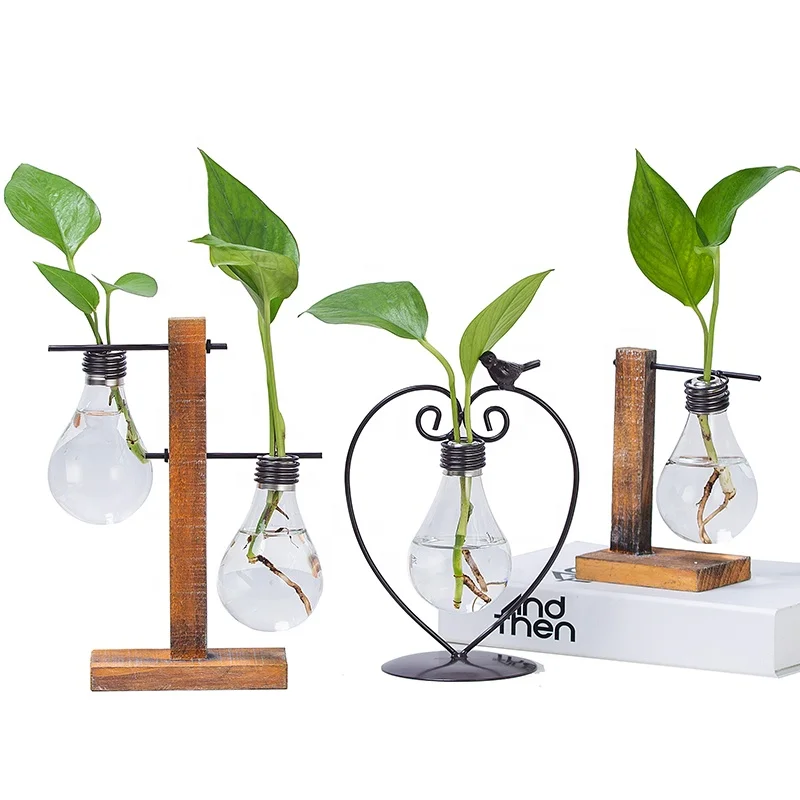 Настольное растение ручной работы, Террариум, горшок, металл, дерево и стекло, ваза с лампочками