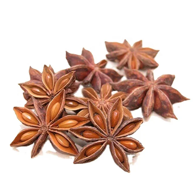 Cheap price Star anise origin Vietnam dried pepper single spices & herbs star anise seed star anise powder