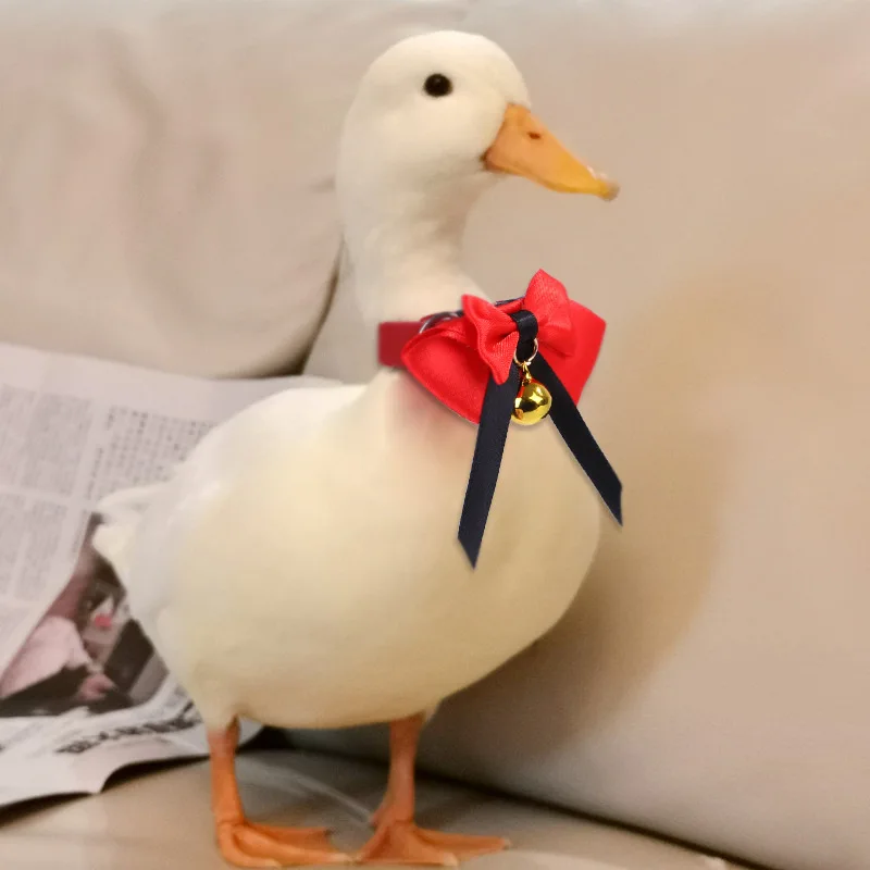 Amazon creative new pet chickens collar customize parrot and goose clothes hand-made cute bird bow tie call duck bell collar
