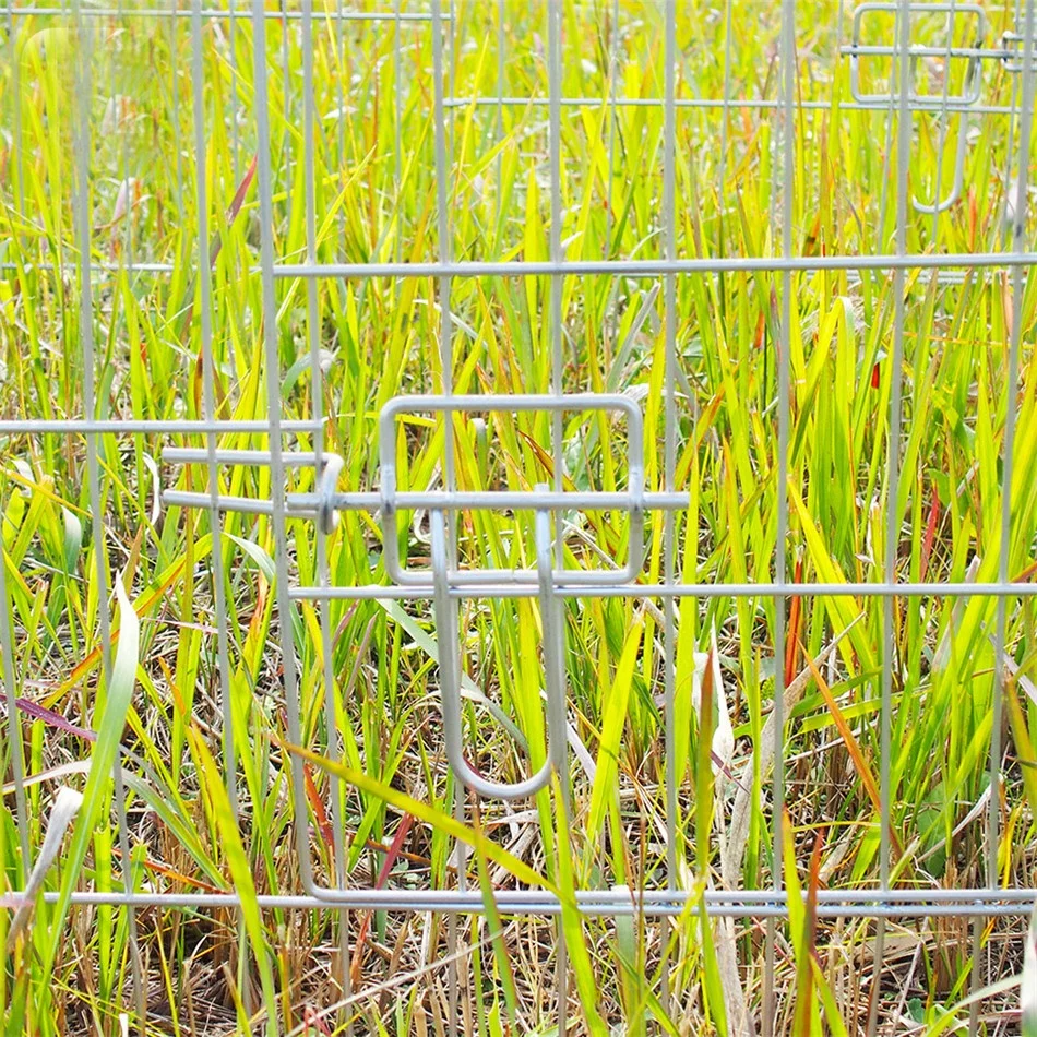 Best cheap portable backyard easy movable small chicken coop and rabbit hutch quail coop