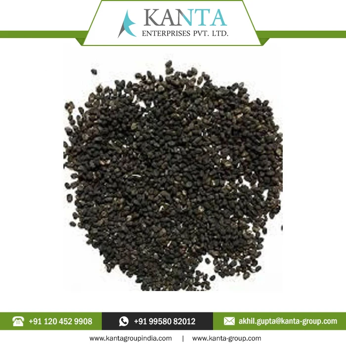 Private Label OEM / ODM Top Quality Carrier Oil  Psoralea Seed Oil at Wholesale Price From Indian Supplier