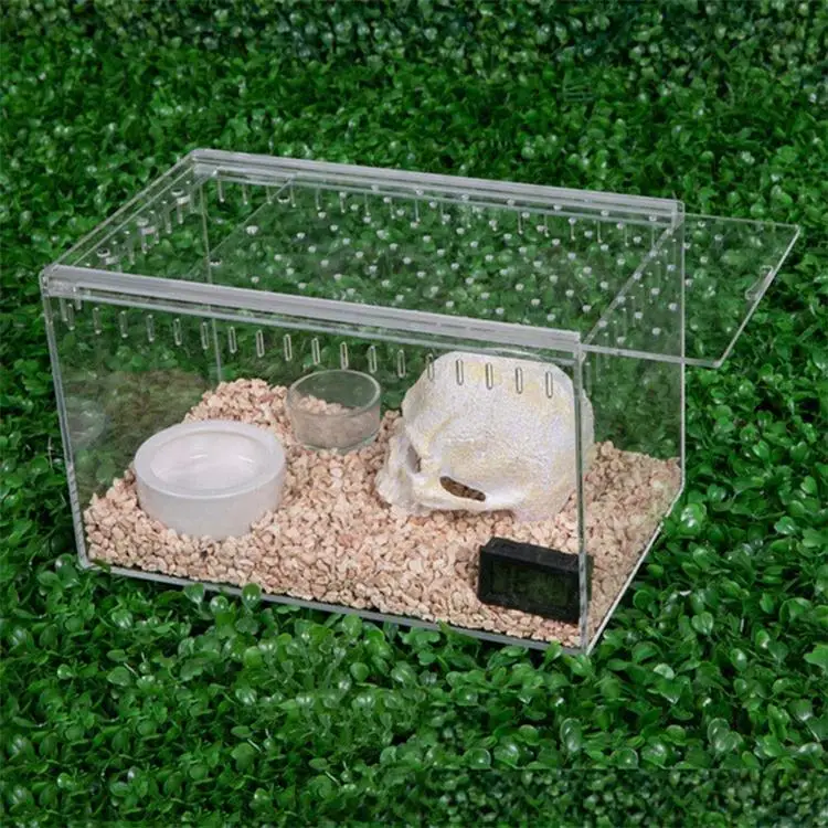 Factory Custom Plexiglass Enclosure Pet Feeding Box Acrylic Terrarium Reptile Cage