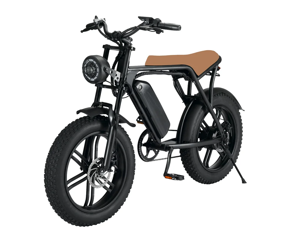 Iwheels brand 48V 1000W Morden design 20inch low price elektrische step,folding ebike,fat tire electric bicycle