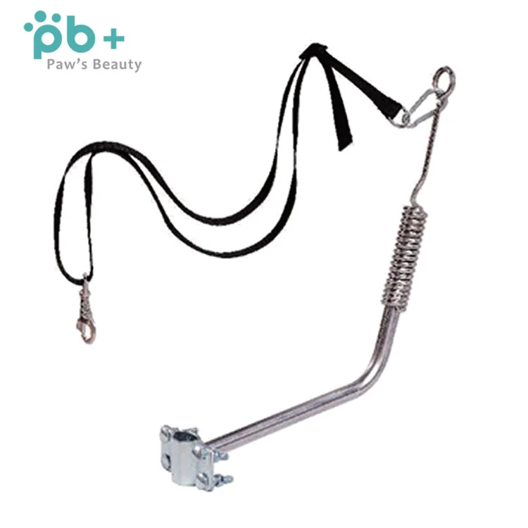 custom retractable smart pet bicycle exerciser leash