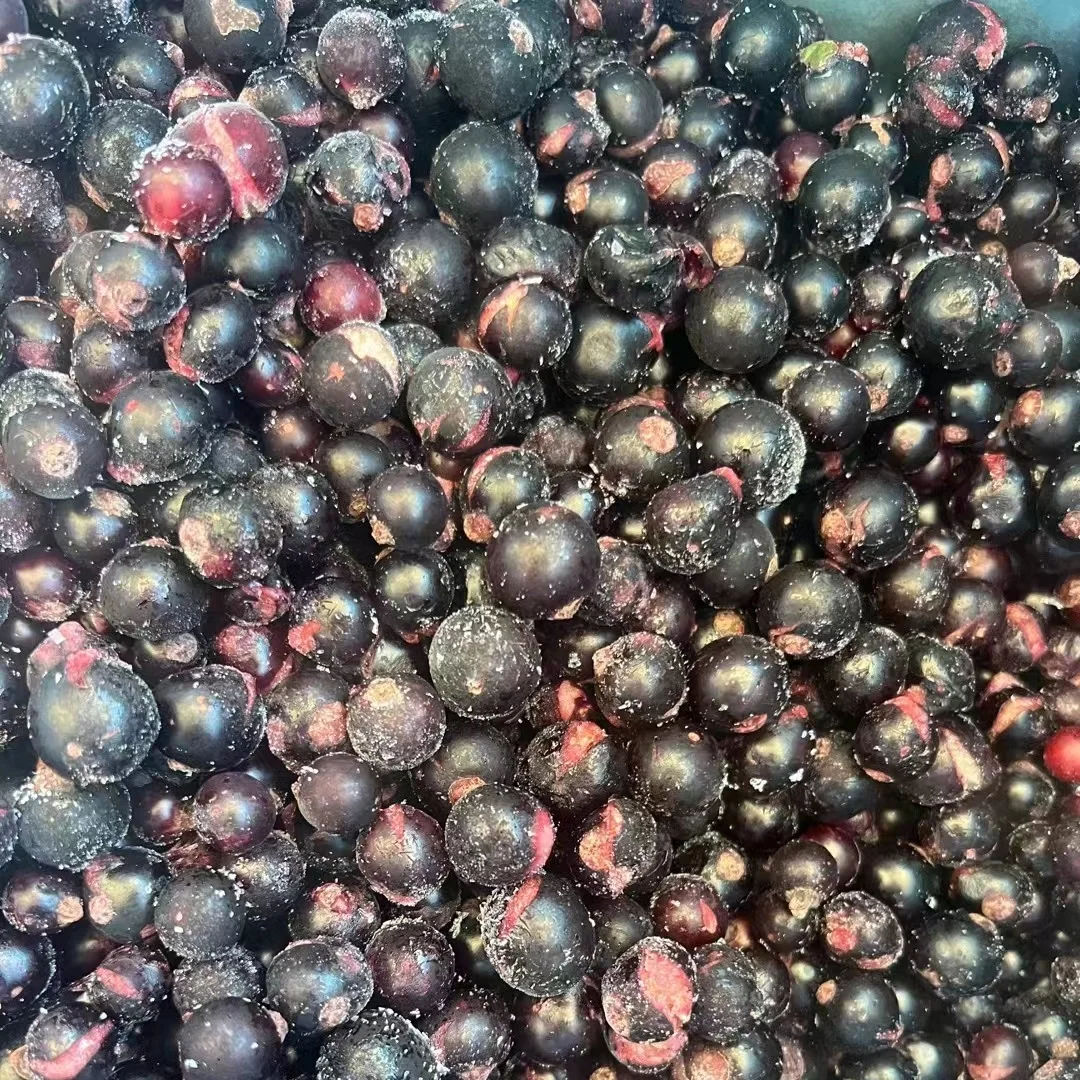 FC-2215  Deep mature  ripped Frozen fresh black currants  bulk pack 10kg Bgrade Ribes Nigrum cheap price good value