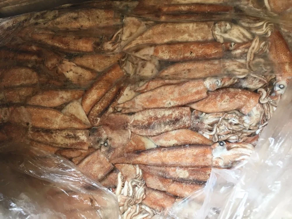 Замороженный Африканский кальмар горячая Распродажа серийный