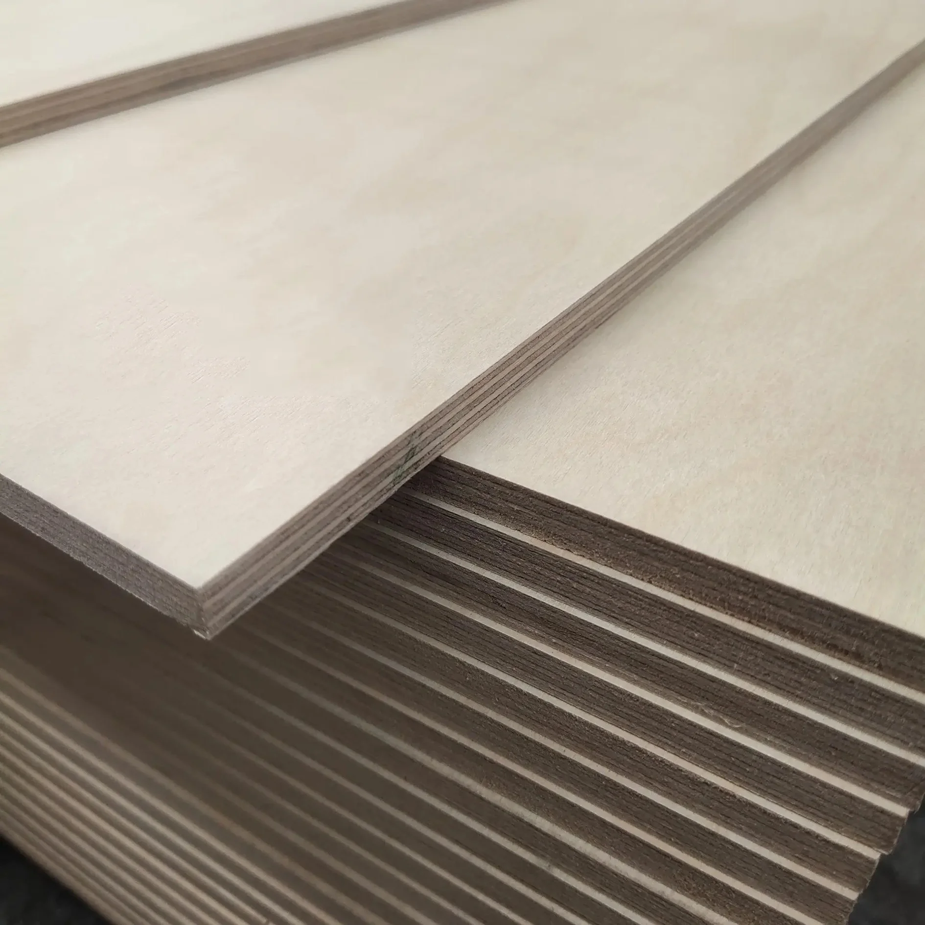 JIA MU JIA Wholesale UV Coated Birch Plywood Sheet 4x8 for die making