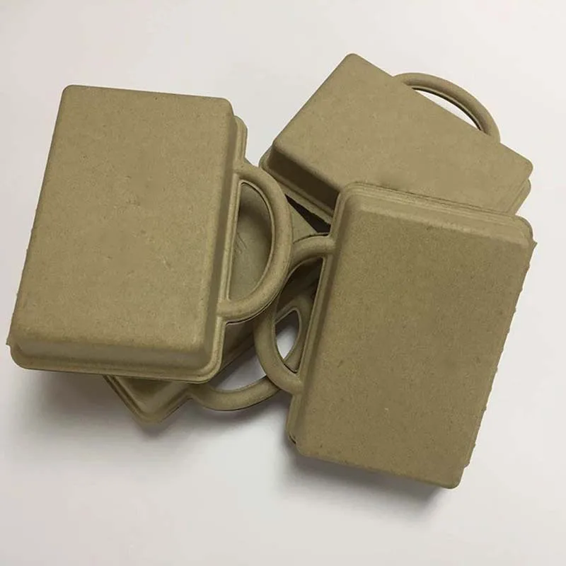 Устойчивые экологически чистые продукты 100% биоразлагаемый поднос из переработанной