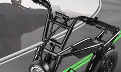 electric bicycle 48V  351-500W  fast speed made in China