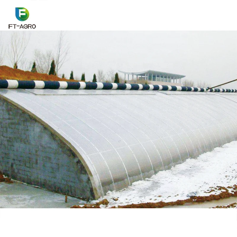 Economic  sunlight tomato greenhouse with complete system  film green house