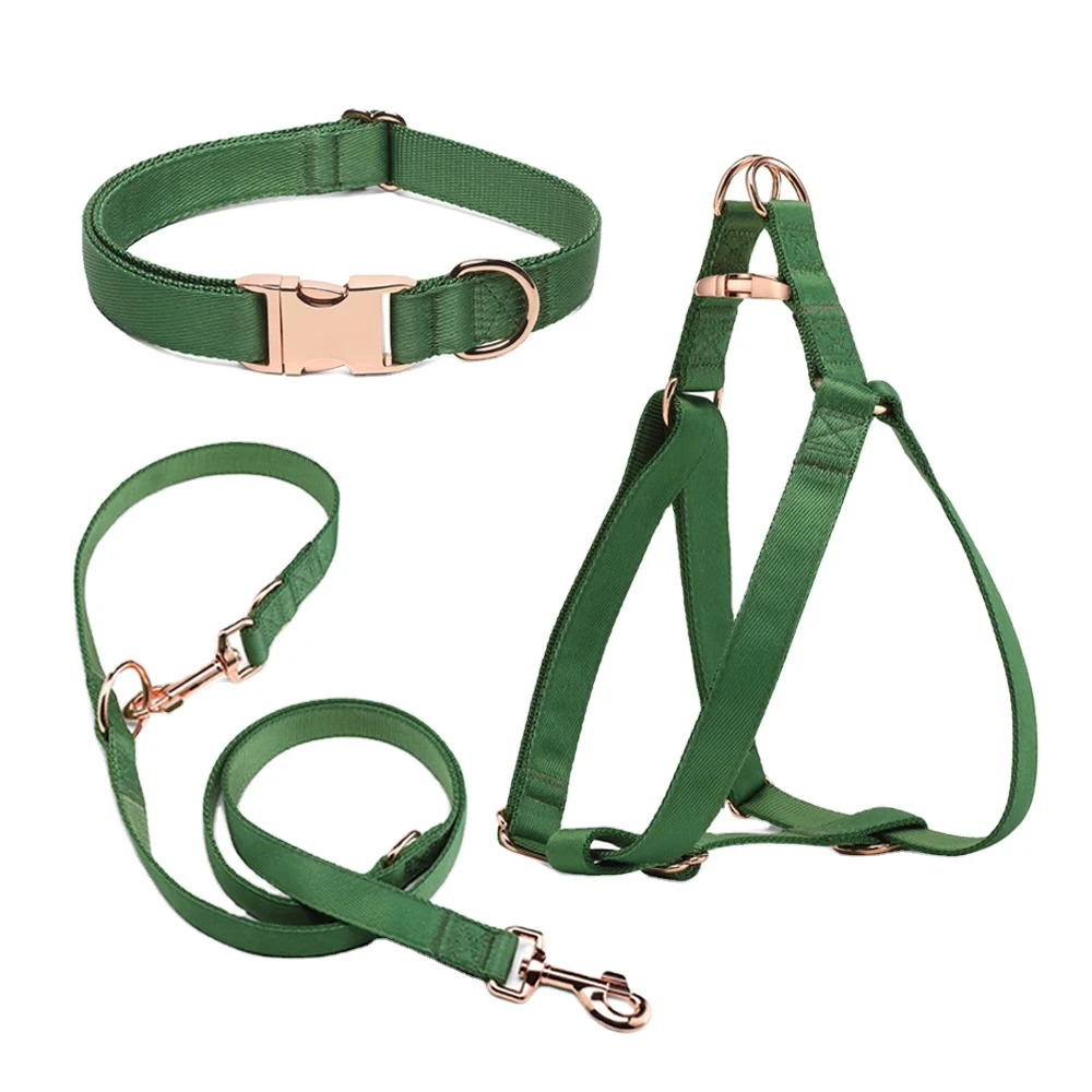 Hot sell colorful adjustable webbing pet personalised dog collars& leashes and harness set nylon leash dog pet harness