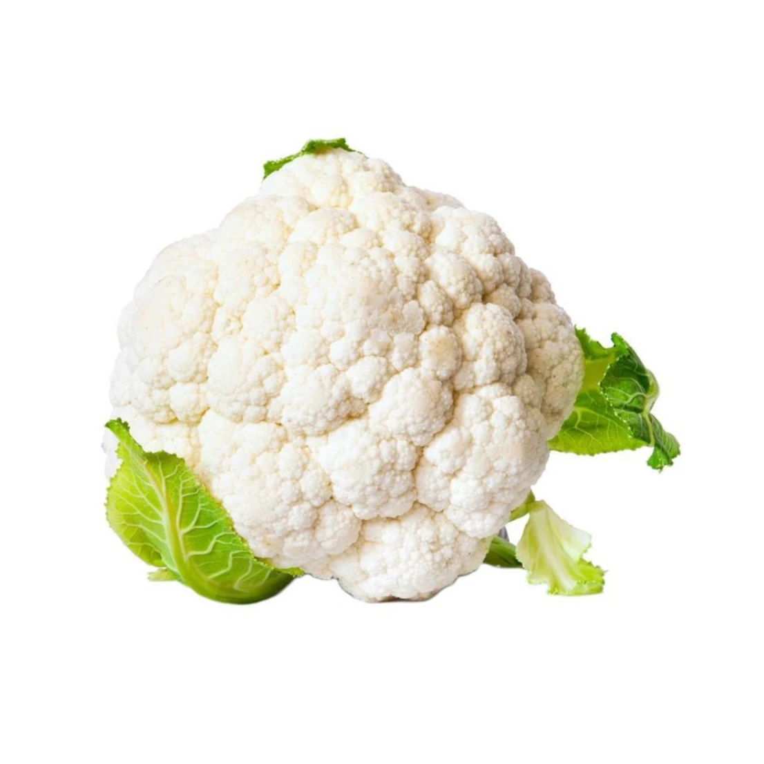 Wholesale Healthy Fresh Vegetable White Fresh Cauliflower