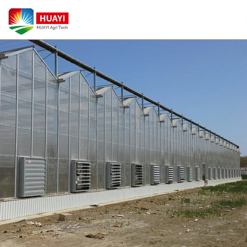 Large span commercial PC Sheet Greenhouse agriculture buy from China best price