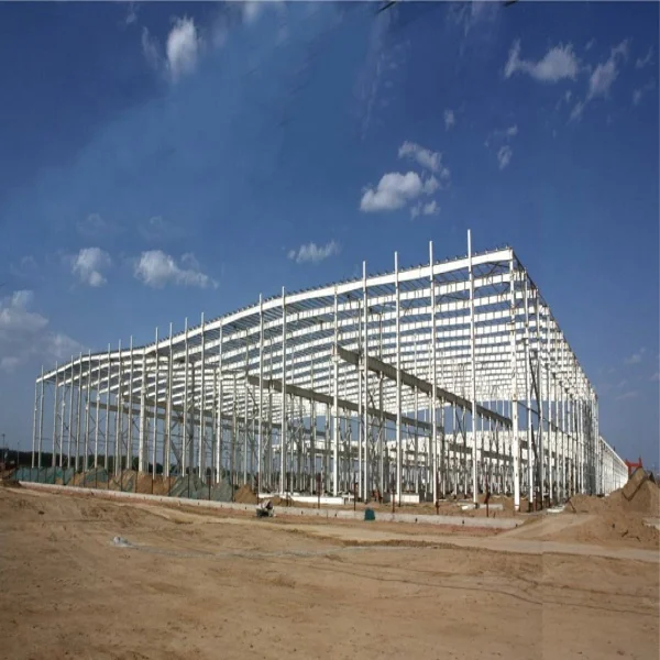 Duowei prefabricated steel structure warehouse