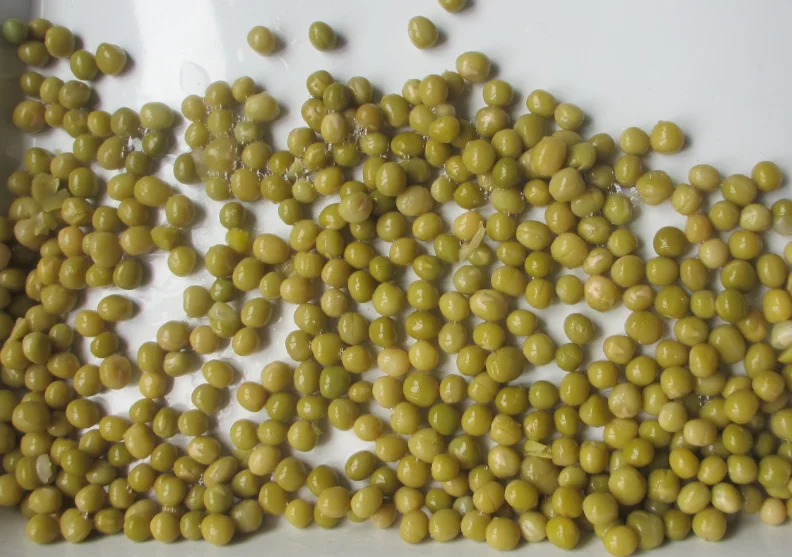 Canned Green Peas 400g Best Canned Natural Green Peas In Brine