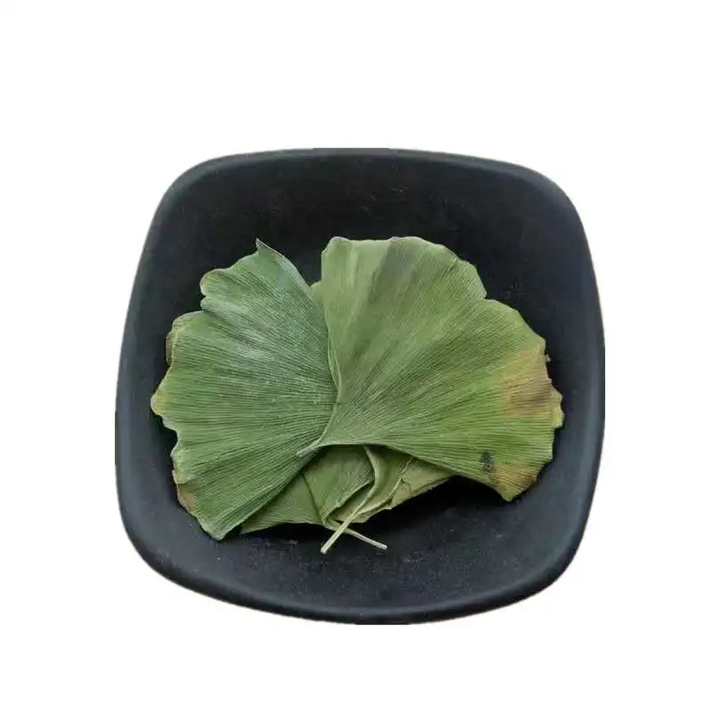 Wholesale most popular natural ginkgo biloba