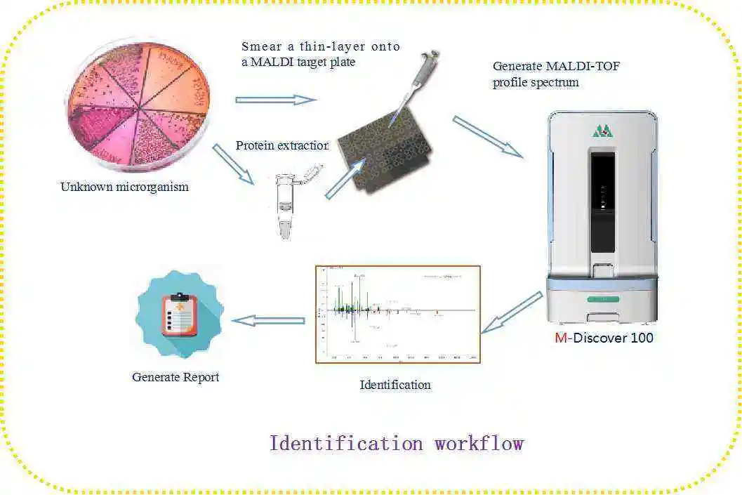Lower Price Clinical Mass Spectrometry Equipment Automatic Microbial Mass Spectrometry Detection System