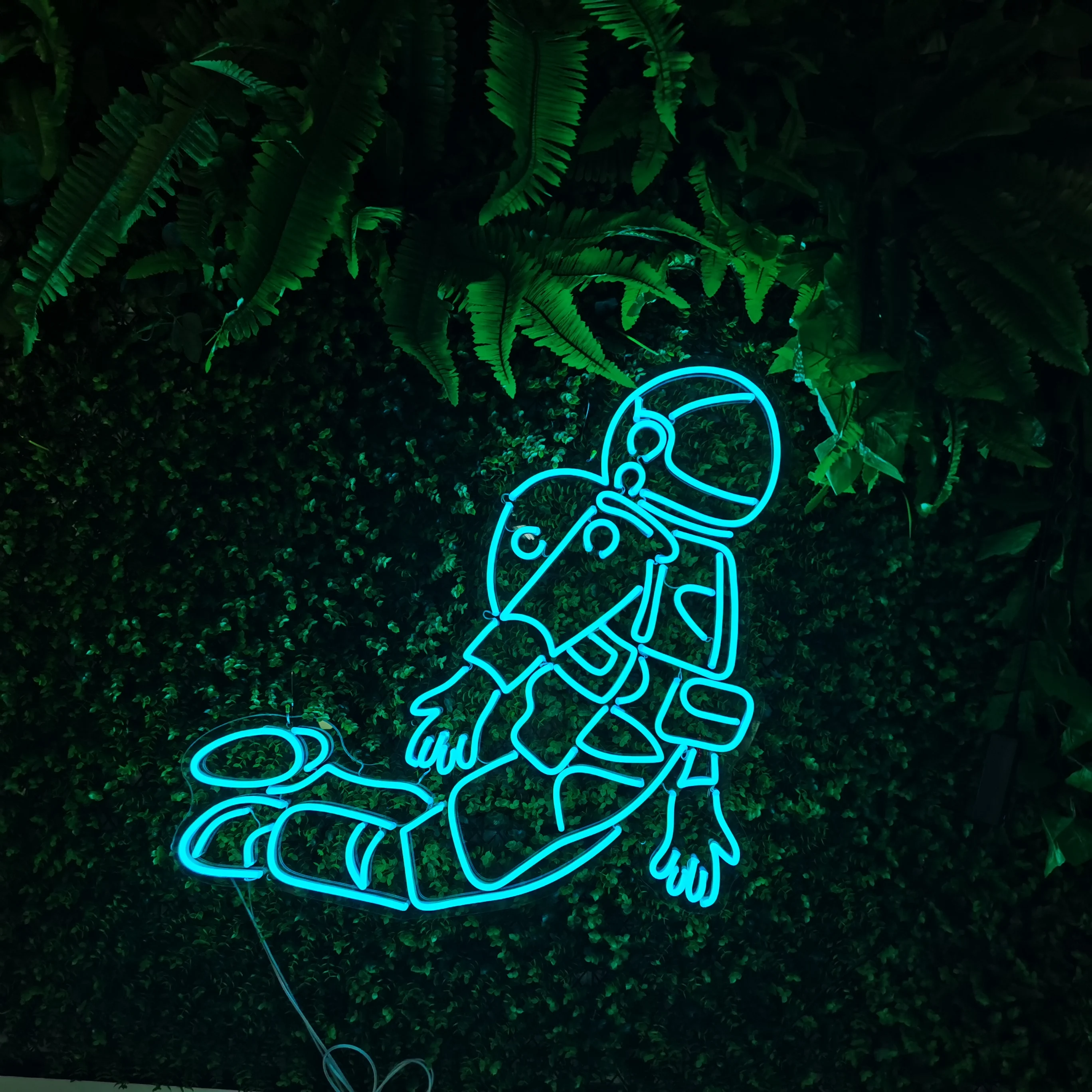 Drop Shipping Light Neon Gorgeous Wall Mounted Advertising Acrylic Decorative waterproof colorful Signage Neon Lights Neon Signs