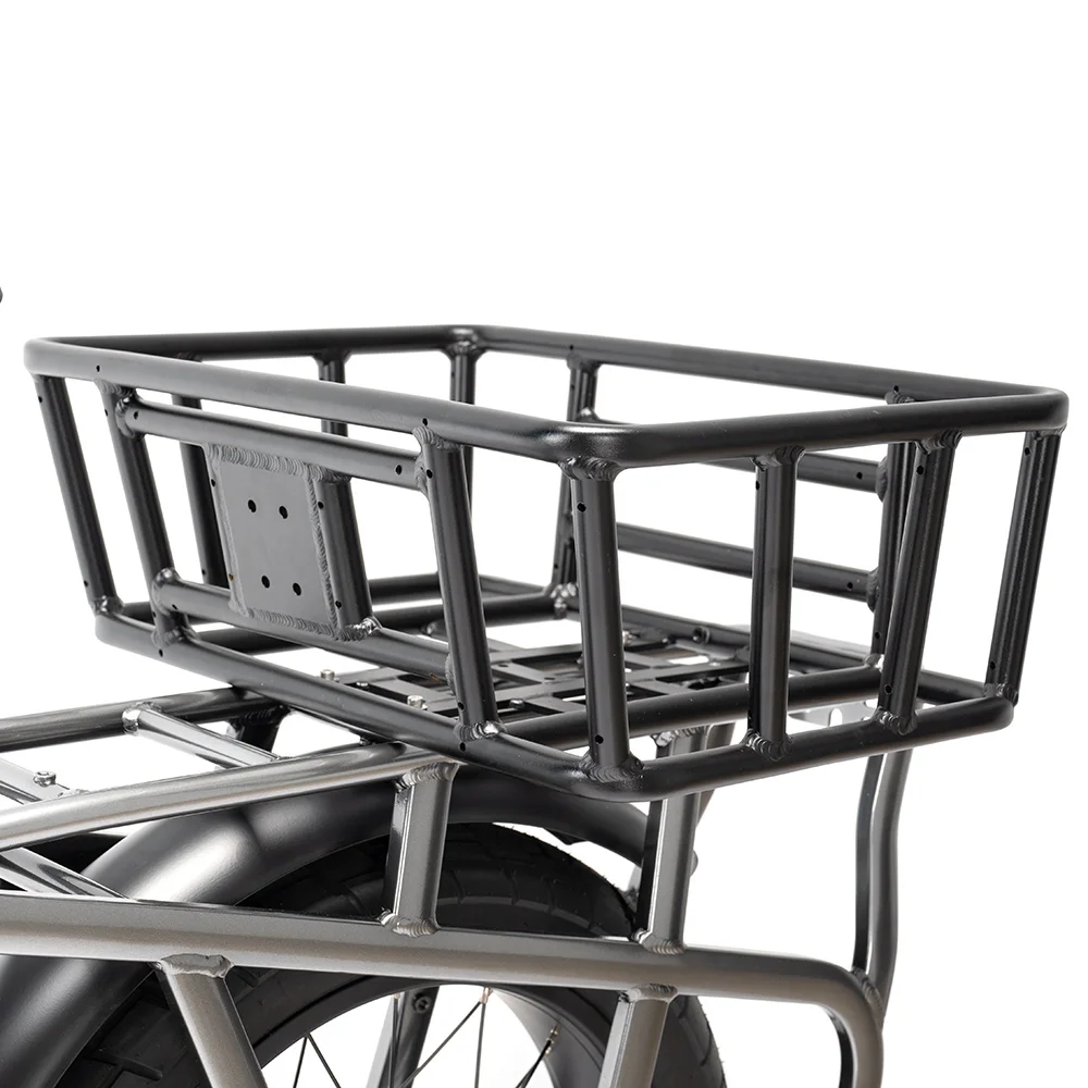 Mario 2 Wheels 250w 750w Bafang rear hub motor engine 20inch Fat tire electric  Cargo  bike