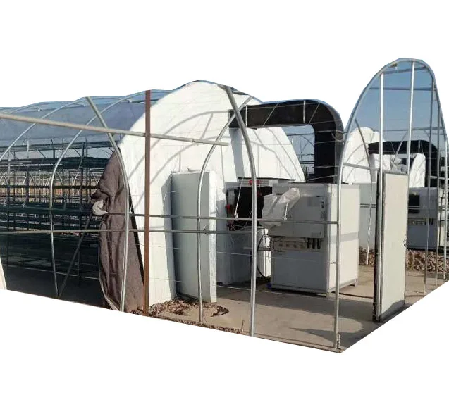 Hone New Mushroom growing room climate control system machine for Mushroom Cultivate